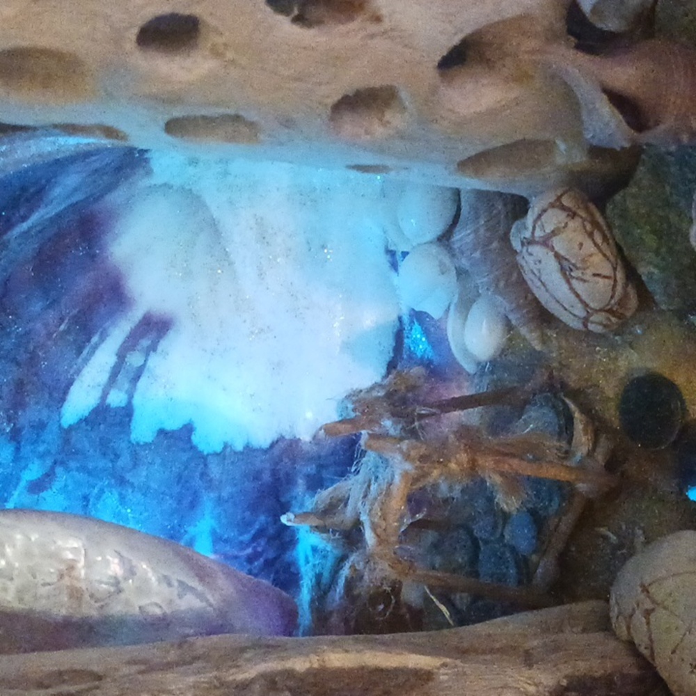 Seashell light beach theme - Picture 3 of 4
